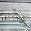 Tissage de tissu jacquard